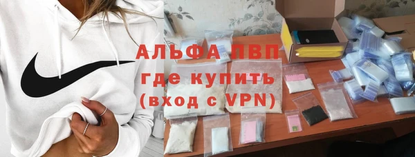 винт Лагань