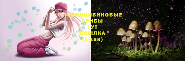 mdpv Лабытнанги
