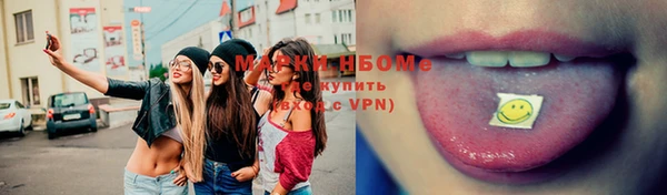 винт Лагань