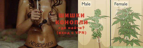 mdpv Лабытнанги