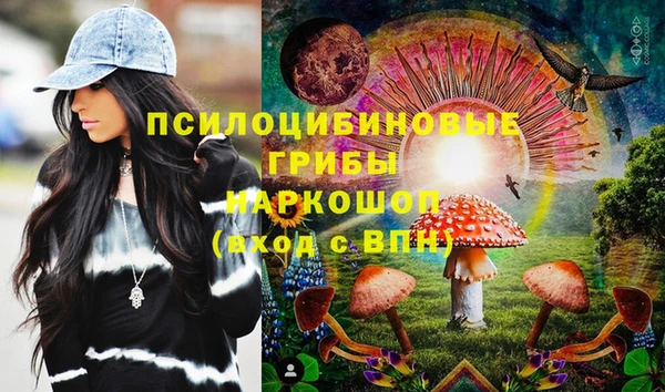 mdpv Лабытнанги