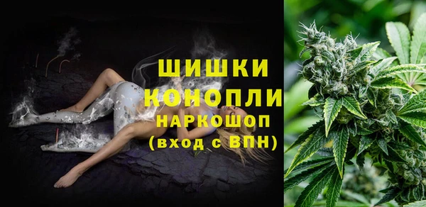 бошки Ладушкин