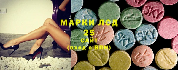 винт Лагань