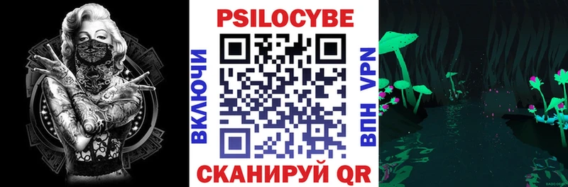 Псилоцибиновые грибы Cubensis  Купить закладки  Кирс 